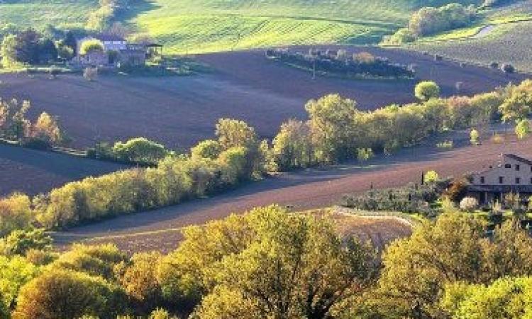 Visita dell’Associazione agrituristica croata per dare sostegno agli operatori del settore maceratesi