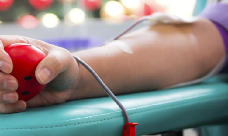 Tolentino, l'Avis spegne 63 candeline