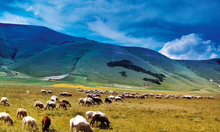 Far rinascere il Parco per non far morire la montagna