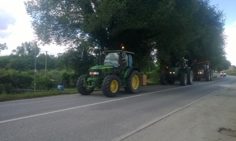 Al via lo sfalcio dell'erba sulle strade provinciali