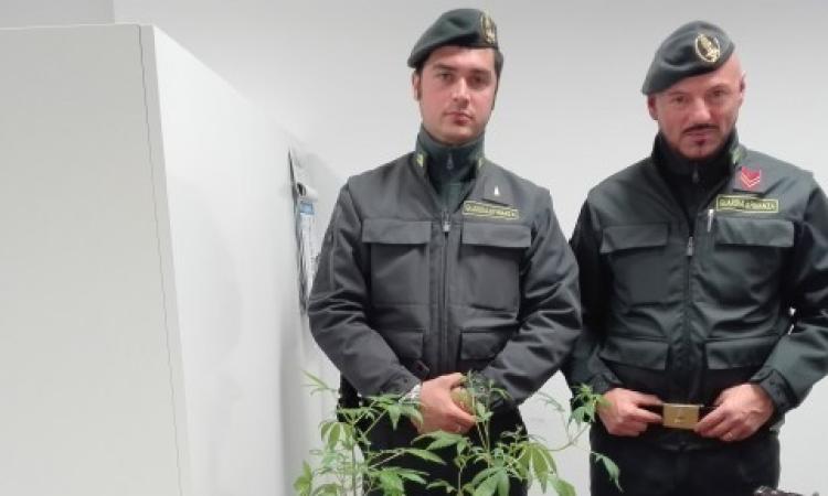 Giovane trovato in possesso di droga: denunciato