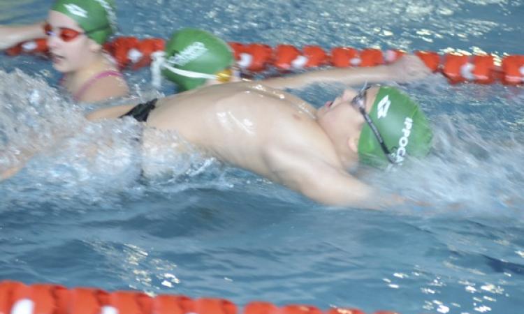 Baby nuotatori dell'Ippocampo Civitanova eccellenti al meeting nazionale di Osimo
