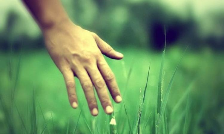 Treia Comunità Ideale: "Per aiutare produttori c'è bisogno di elenco aziende"