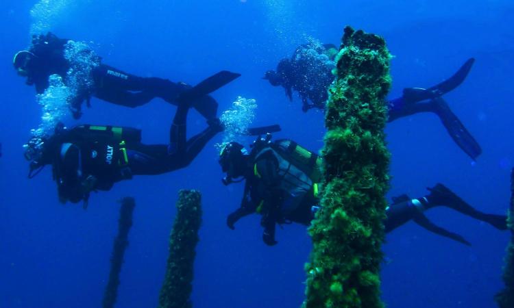Il fascino delle immersioni con il Bubbles di Montecassiano