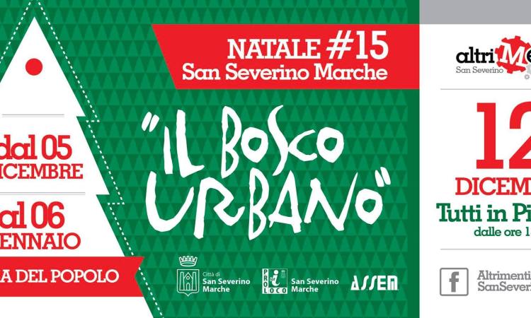 La piazza di San Severino si trasforma in un bosco natalizio