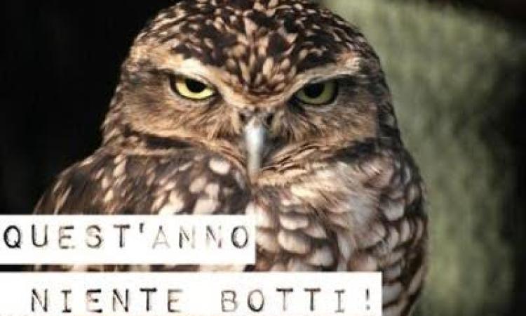 Treia Comunità Ideale lancia l'appello per fermare i botti di Capodanno