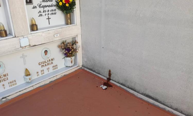 Fa i bisogni davanti alle tombe: sconcerto e sdegno al cimitero di Tolentino