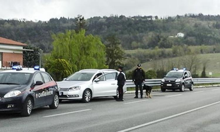 Studenti di Macerata "virtuosi": in trecento controllati da carabinieri e cani. Nessuno trovato con la droga