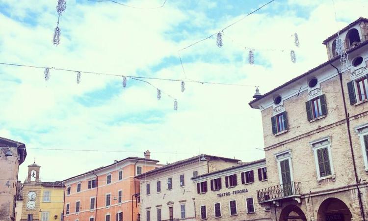 "Bosco urbano": partita la corsa all'addobbo