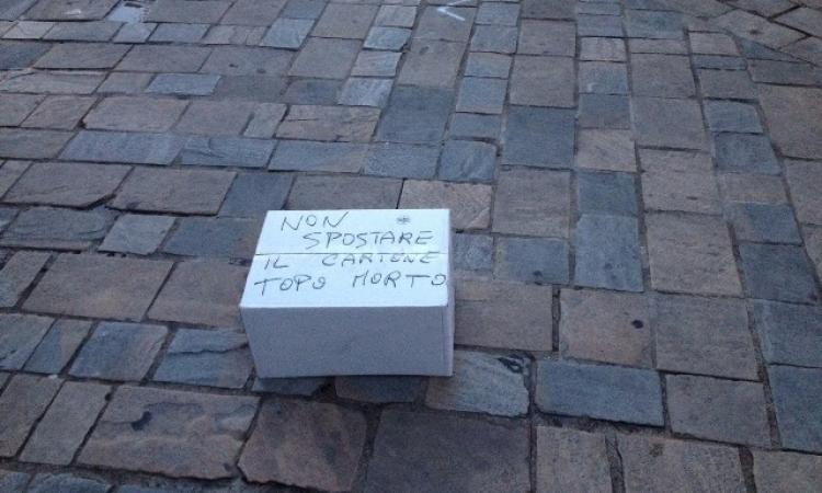 Funerale per un roditore in via della Pace a Tolentino