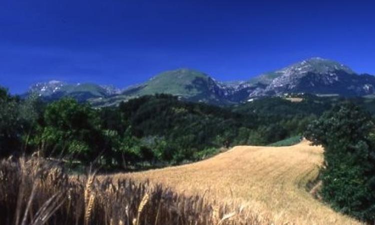 Esplode l'estate nel Sistema Turistico Locale "Monti Sibillini, Terre di parchi e di Incanti"