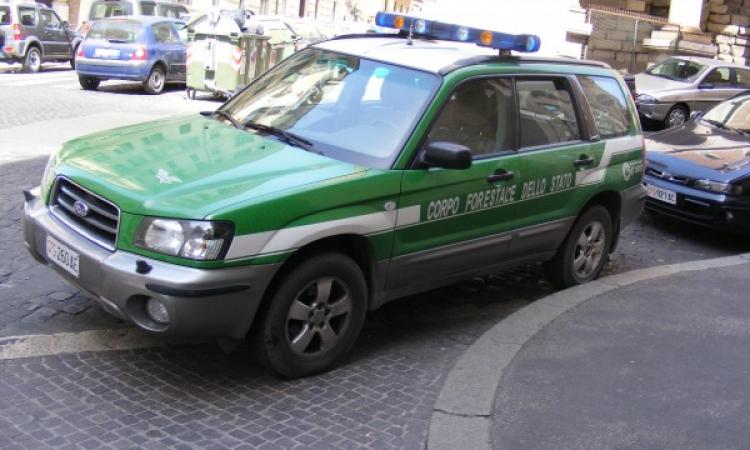 No unitario alla militarizzazione della Forestale