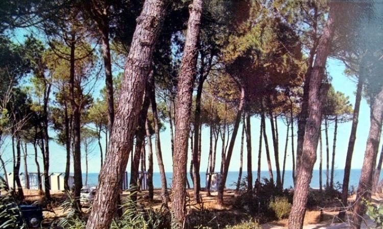 Controllo dei carabinieri alla Pineta di Porto Recanati: identificate due prostitute minorenni