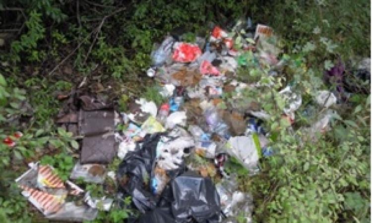 Fiuminata, scoperto il responsabile dell'abbandono selvaggio di rifiuti: è un cittadino belga