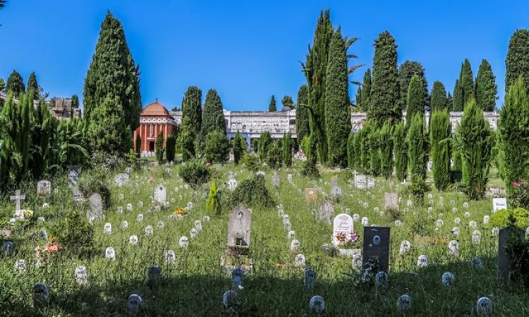 Degrado al cimitero di Macerata tra ragnatele, sporcizia ed erba alta - FOTO