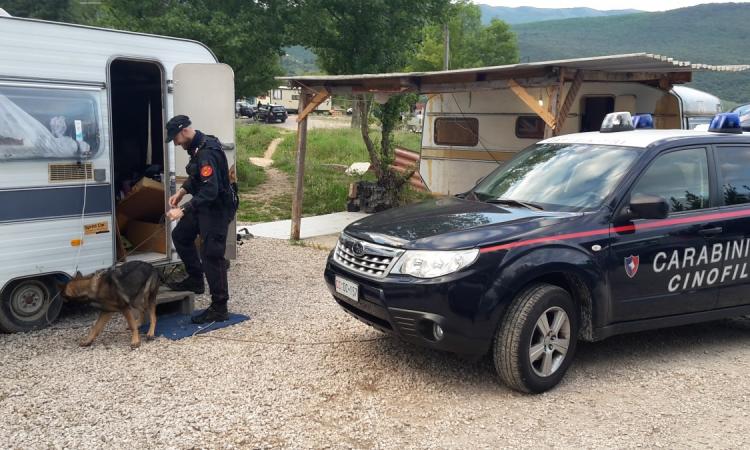 Scoperta banda di ladri in trasferta dall'Umbria per colpi a Pollenza e Tolentino