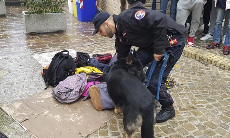 Controlli antidroga alla fermata del bus di Cingoli