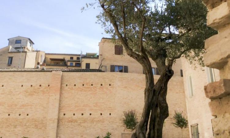 Macerata, al via i lavori per chiudere la breccia del muro ex carceri