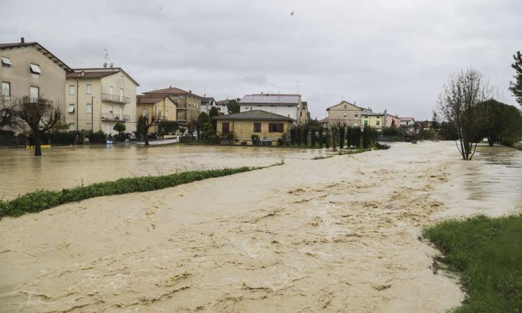 Maltempo, ultimi aggiornamenti: esondazioni nella zona di Morrovalle e Montecosaro