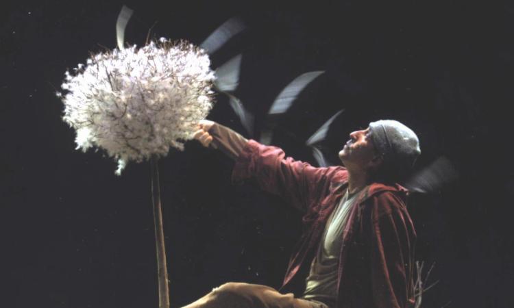 Teatro Annibal Caro sold out per lo spettacolo "Pollicino"