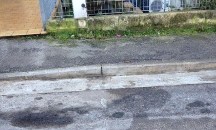 "A Civitanova in via Maroncelli non spuntano alberi o fiori, ma fili"