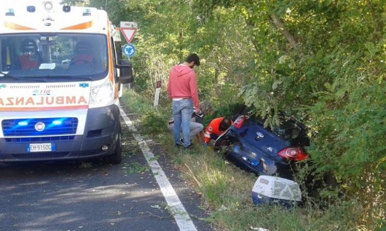 Gatto scappa dalla gabbietta: donna esce di strada con l'auto