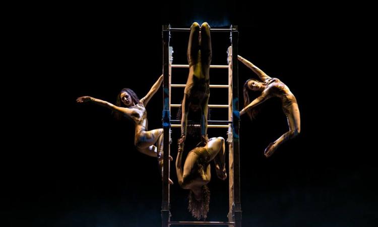 Il Virtus Acrobatic Team di Macerata in scena a Senigallia