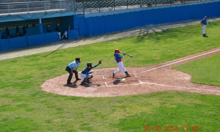 La serie A di baseball torna a Macerata: sabato debutto casalingo contro Viterbo