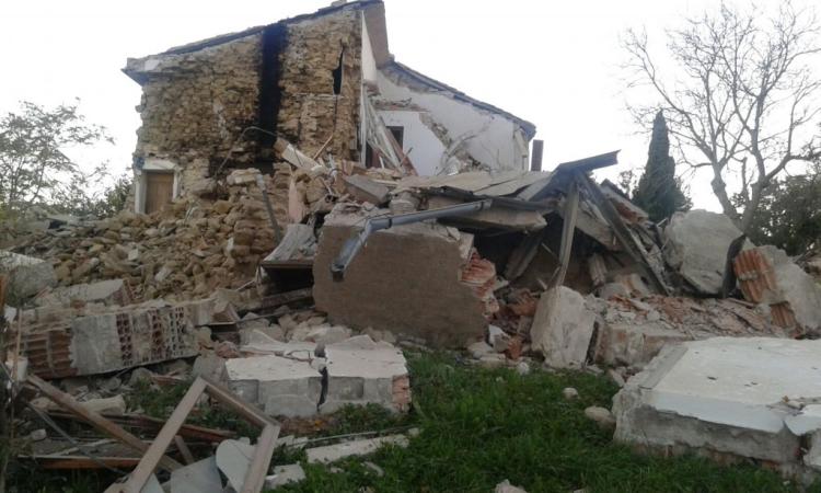 Sisma, oltre l'80% delle strutture agricole danneggiate