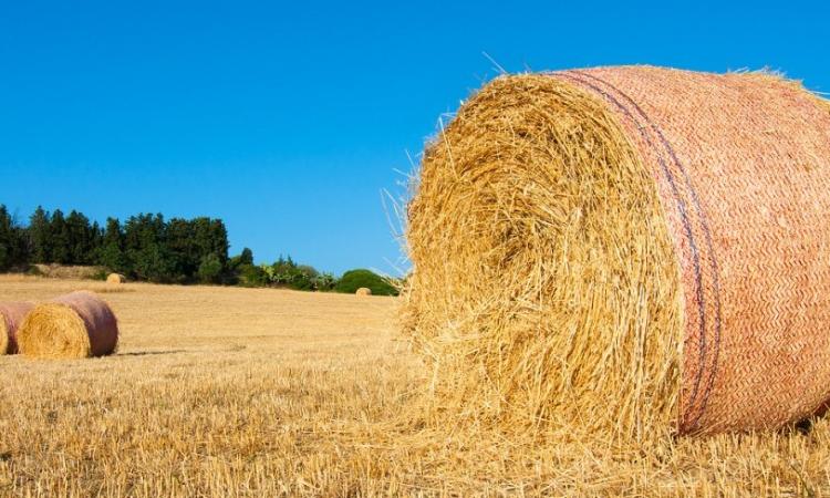 Agricoltore muore schiacciato da balla di fieno