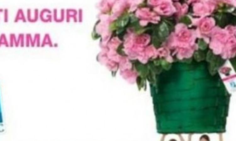 L'AIRC in piazza con le azalee contro il cancro