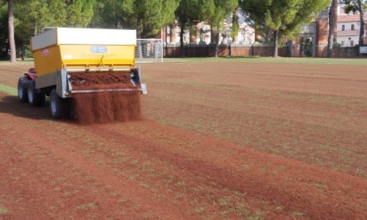 Rifatto il manto erboso dello Stadio dei Pini