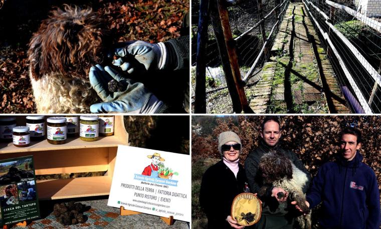 Belforte del Chienti, dove il tartufo è di casa: la scommessa vinta della famiglia Carassai (FOTO e VIDEO)