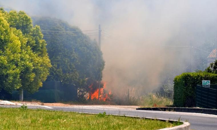 Incendio in un campo di grano a Urbisaglia, bruciati quattro ettari (Video)