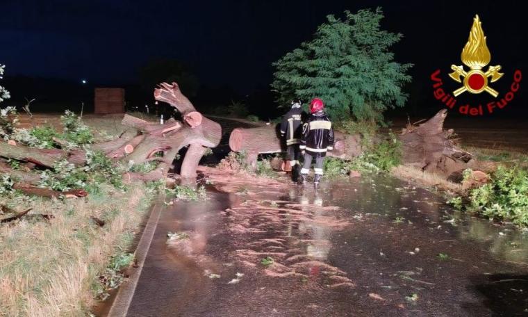 Maltempo Marche, alberi e rami caduti: 70 interventi dei Vigili del fuoco nella notte