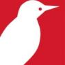 Woodpecker News